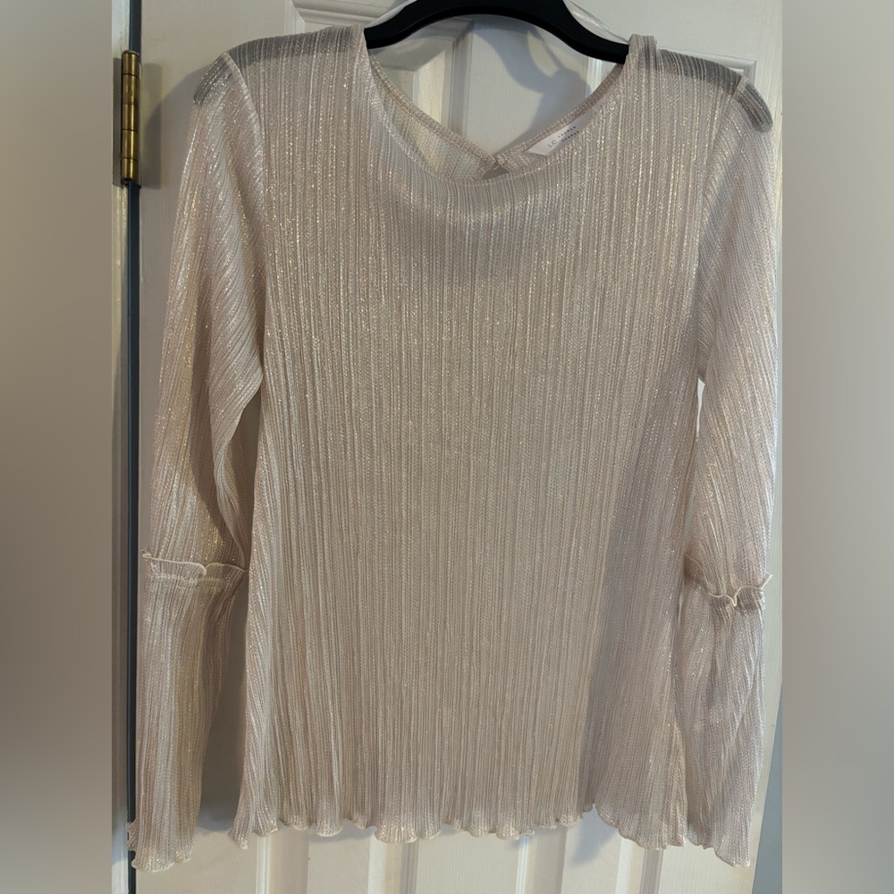 Elegant Cream Long Sleeve Sheer Top